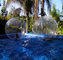 Boules de marche de l'eau gonflable agréable/boule gonflable humaine de hamster fournisseur