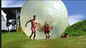 Les jeux de plein air gonflables d'adultes imperméabilisent la boule de Zorbing de corps pour l'herbe fournisseur