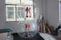 Le football gonflable fait sur commande du football de bulle clair avec les costumes gonflables de boule fournisseur