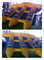 Les jeux de parc aquatique d'été imperméabilisent les poissons de vol gonflables remorquables, CE fournisseur